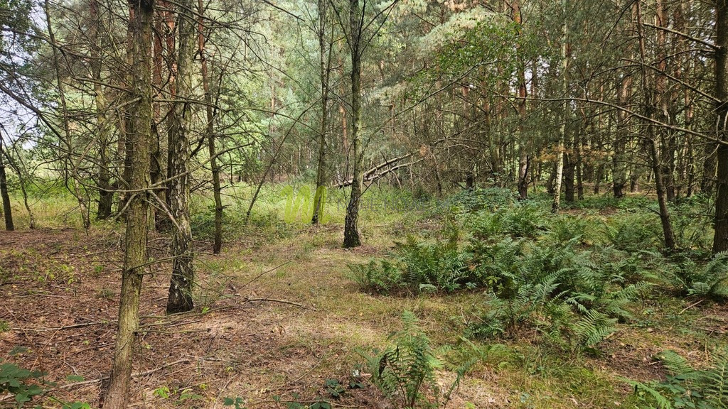 Działka Sprzedaż Budziszewice 21