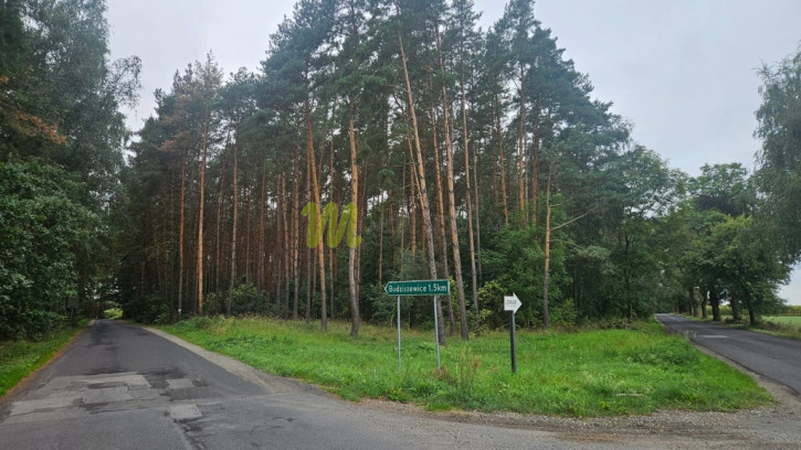 Działka Sprzedaż Budziszewice 1