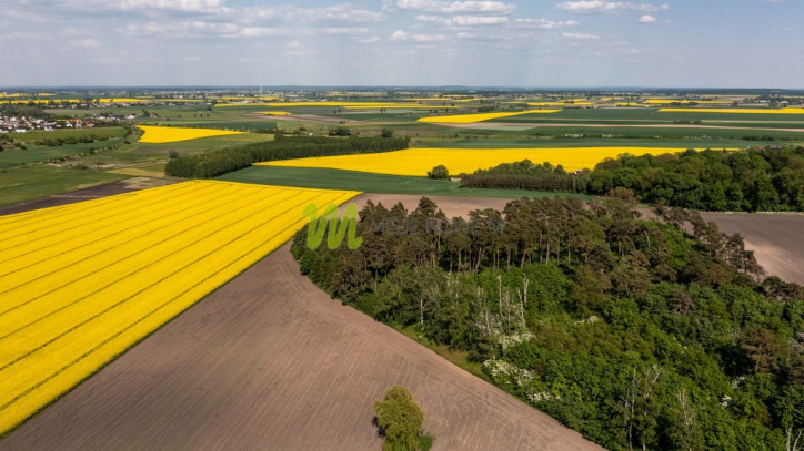 Działka Sprzedaż Żurawia 11