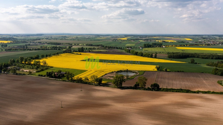 Działka Sprzedaż Żurawia 12