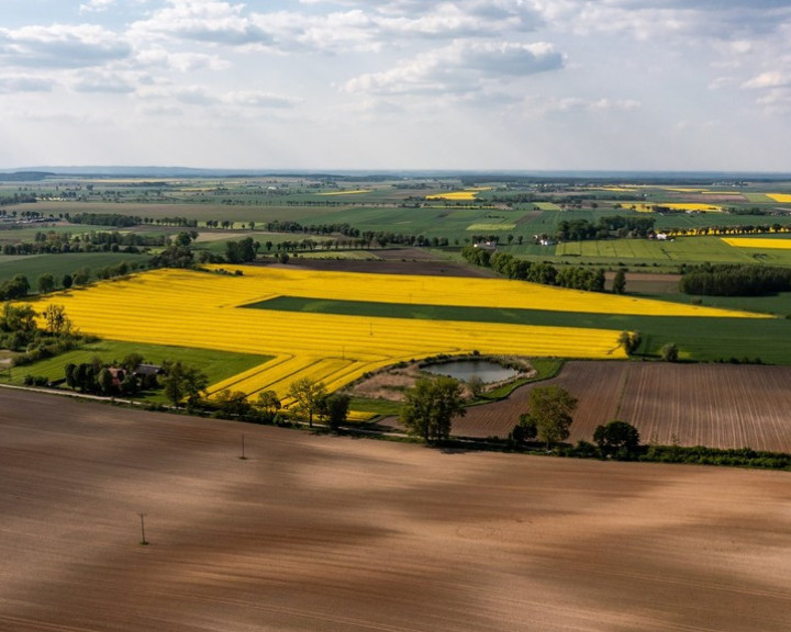 Działka Sprzedaż Żurawia