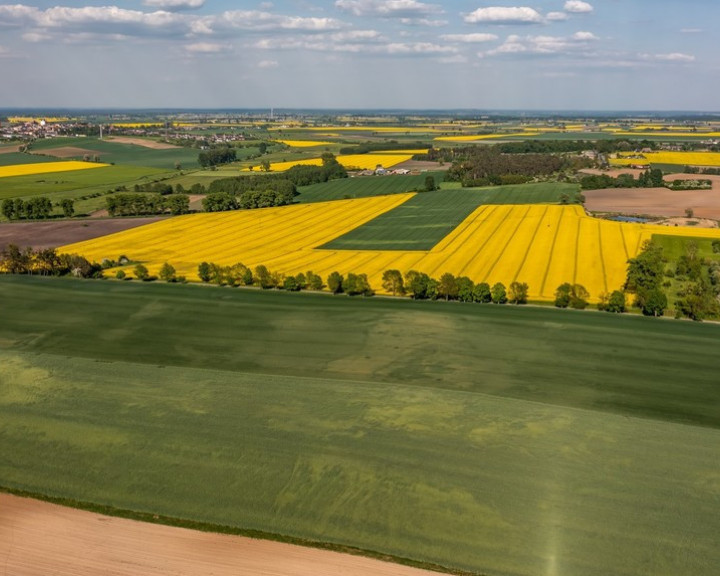 Działka Sprzedaż Żurawia