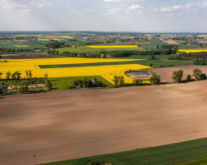 Działka Sprzedaż Żurawia