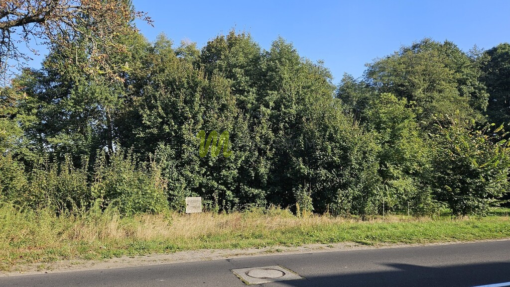Działka Sprzedaż Długa Goślina 6