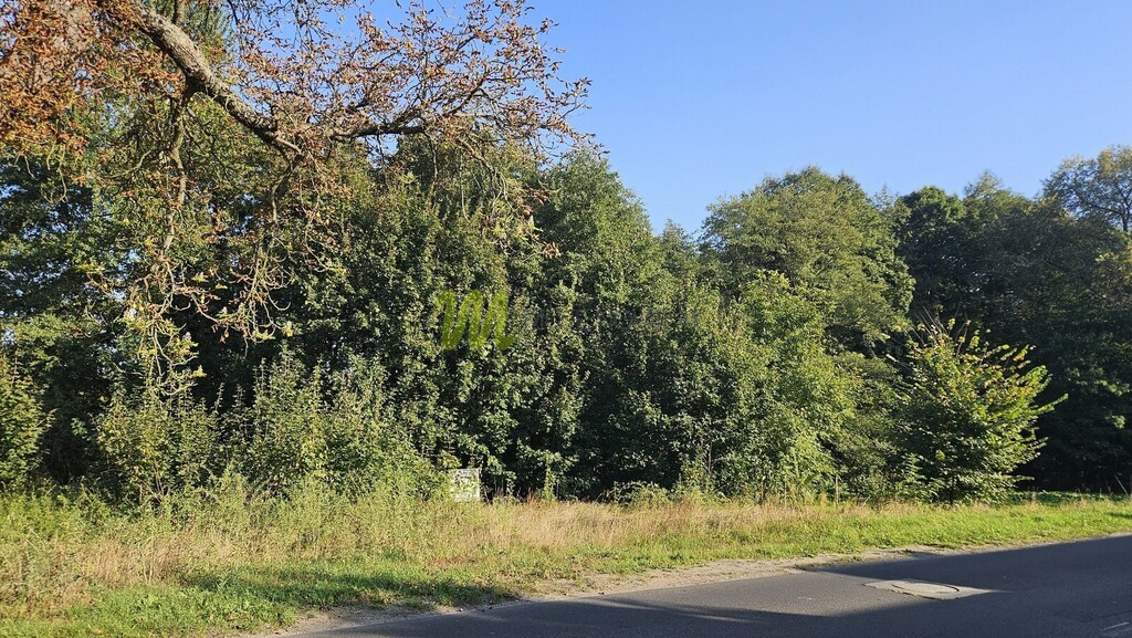 Działka Sprzedaż Długa Goślina 15