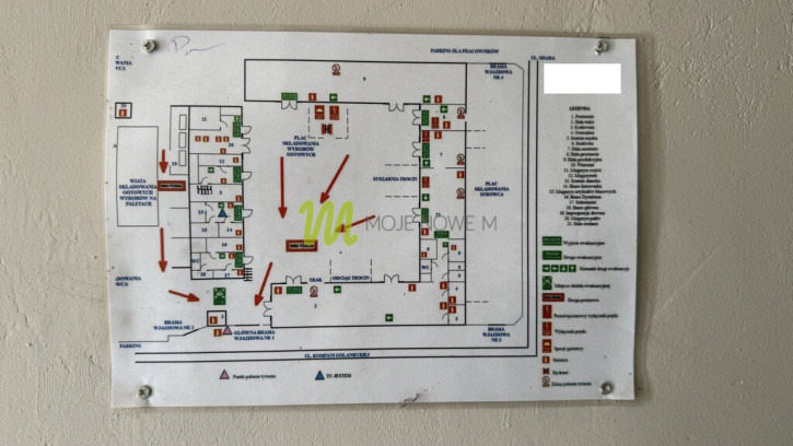 Działka Sprzedaż Gołańcz Osada 12