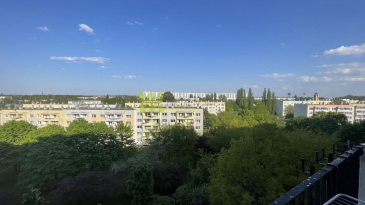 Mieszkanie Wynajem Poznań Nowe Miasto os.&nbsp;Rusa 1