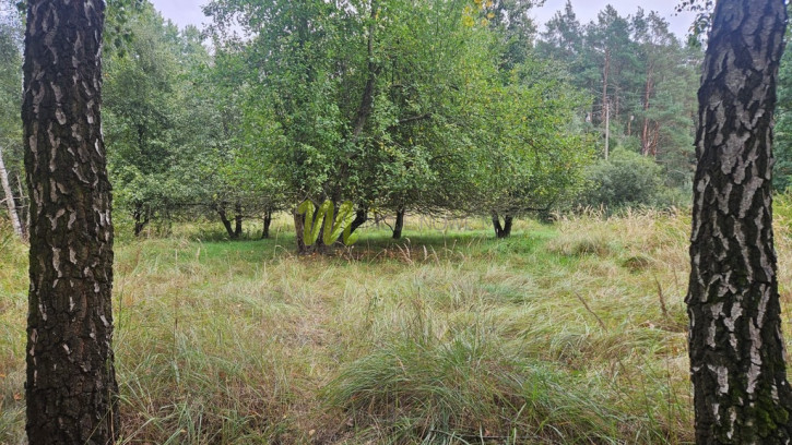 Działka Sprzedaż Budziszewice 7